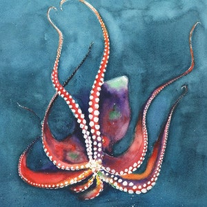 Octopus Watercolor Painting Art Print by Eric Sweet