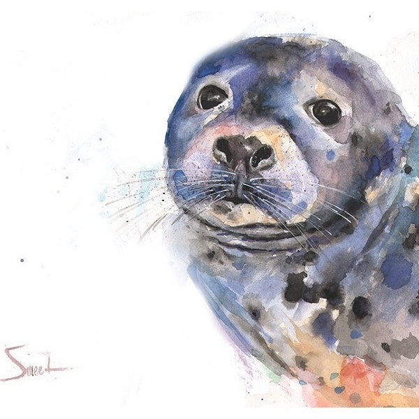 Harbor Seal Watercolor Painting Art Print by Eric Sweet