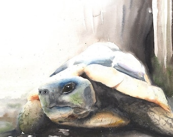 Tortoise Watercolor Print - Turtle Wall Art, Reptile Painting