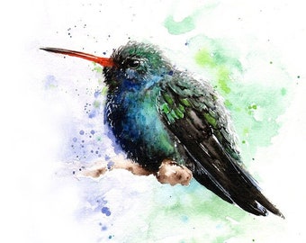 Hummingbird Art Print Watercolor Painting by Eric Sweet