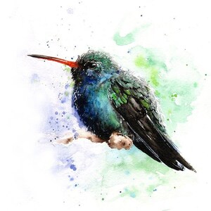 Hummingbird Art Print Watercolor Painting by Eric Sweet