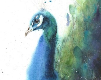 額入り水彩画壁掛け 孔雀 Geucled Plumes 1280 Amazon.com: Designart