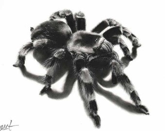 Tarantula Painting Spider Painting Art Print by Eric Sweet