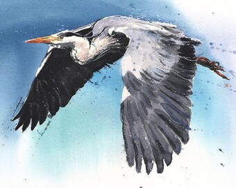 Blue Heron Flying Watercolor Bird Painting Art Print by Eric Sweet