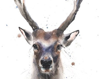 Watercolor Buck Deer Print - Wildlife Animal Wall Art