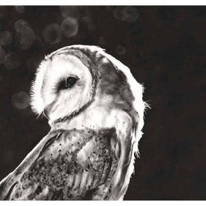 Barn Owl Art Black and White Oil Painting by Eric Sweet image 1