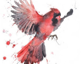 Flying Red Cardinal Art Watercolor Painting Print by Eric Sweet
