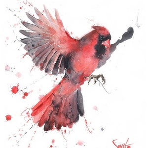 Flying Red Cardinal Art Watercolor Painting Print by Eric Sweet