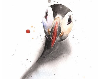 Puffin Bird Watercolor Illustration Painting Art Print by Eric Sweet