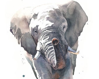 Elephant Watercolor Painting by Eric Sweet