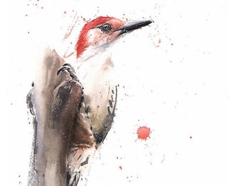 Red Bellied Woodpecker Painting Watercolor Bird Art Print by Eric Sweet