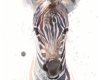 Baby Zebra Print Watercolor Painting Wall Art by Eric Sweet