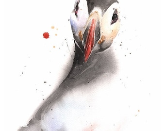 Puffin Bird Watercolor Illustration Painting Art Print by Eric Sweet