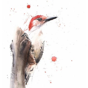 Red Bellied Woodpecker Painting Watercolor Bird Art Print by Eric Sweet