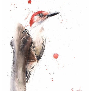 Red Bellied Woodpecker Painting Watercolor Bird Art Print by Eric Sweet