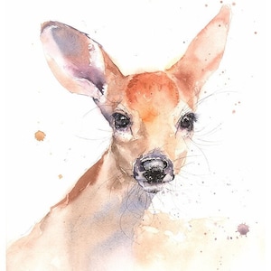 Fawn Watercolor Painting Art Print by Eric Sweet