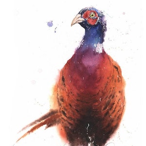 Ring Necked Pheasant Watercolor Bird Painting Art Print by Eric Sweet