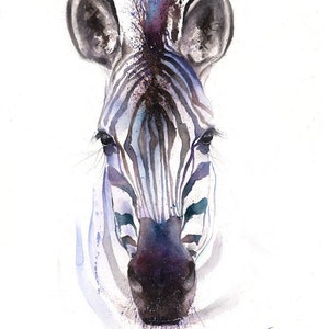 Zebra Watercolor Painting Art Print by Eric Sweet