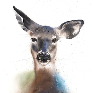 Doe Watercolor Painting Wall Art Print by Eric Sweet