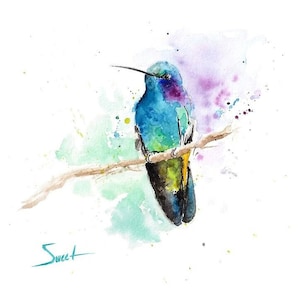 Colorful Perched Hummingbird Watercolor Painting Art Print by Eric Sweet