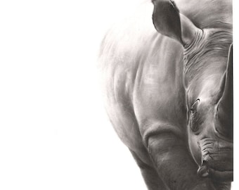 Rhino Painting Black and White Oil Art Print by Eric Sweet