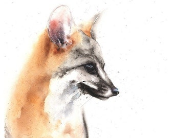 Grey Fox Watercolor Art Print Painting by Eric Sweet