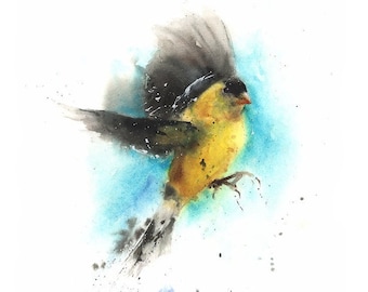 Flying Goldfinch Bird Watercolor Painting Art Print by Eric Sweet