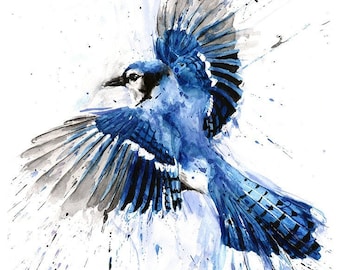 Blue Jay Flying Watercolor Painting Art Print by Eric Sweet
