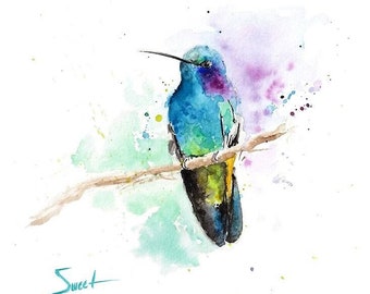 Hummingbird Print Watercolor Bird Art Painting by Eric Sweet