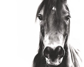 Black Horse Painting Etsy Black Horse Painting Etsy