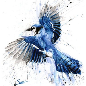 Blue Jay Flying Watercolor Painting Art Print by Eric Sweet image 1