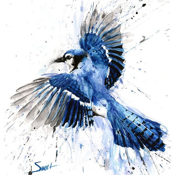 Blue Jay Flying Watercolor Painting Art Print by Eric Sweet