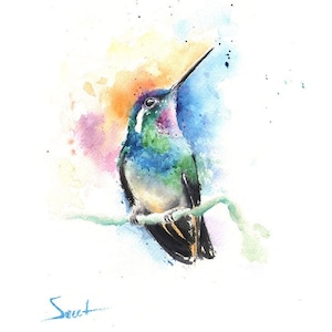 Kolibri Aquarell Malerei Kunstdruck von Eric Sweet