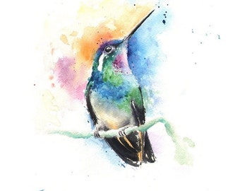 Hummingbird Watercolor Painting Art Print by Eric Sweet