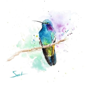 Hummingbird Print Watercolor Bird Art Painting by Eric Sweet