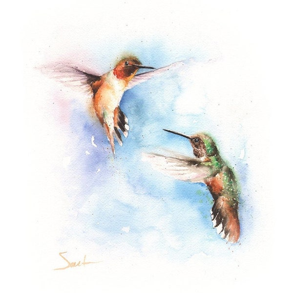 Zwei Rufous Kolibri Art Print Aquarell Vogel Gemälde von Eric Sweet