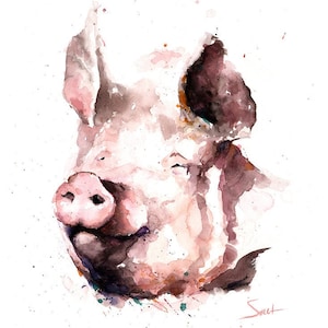 Pig Painting Watercolor Swine Art Print by Eric Sweet