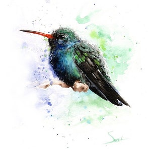 Green and Blue Hummingbird Watercolor Painting Art Print by Eric Sweet