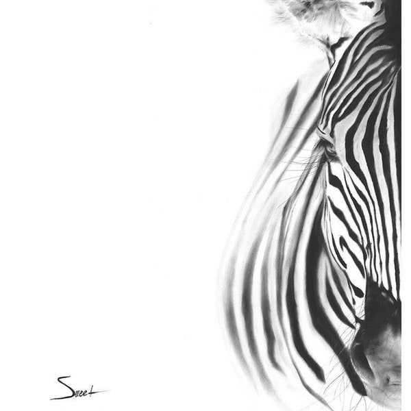 Zebra Oil Painting in Black and White Art Print by Eric Sweet