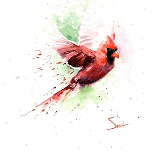 Flying Red Cardinal Bird Watercolor Painting Art Print by Eric Sweet