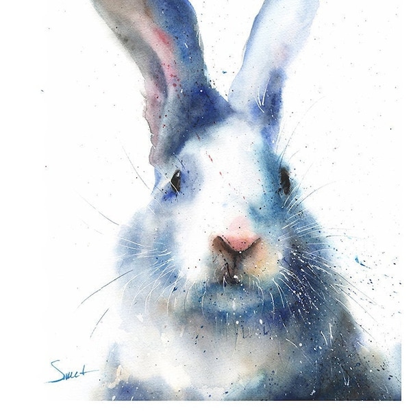 Kaninchen Aquarellmalerei Kunstdruck von Eric Sweet