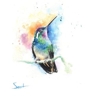 Hummingbird Watercolor Painting Art Print by Eric Sweet