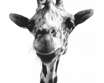 Stampa artistica di giraffa - Dipinto moderno di animali selvatici, arte animale in bianco e nero