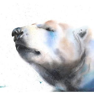 Polar Bear Watercolor Painting Art Print by Eric Sweet