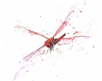 May include: A watercolor painting of a red dragonfly with translucent wings, depicted in a flying position. The artwork features scattered paint splatters in shades of red, pink, and blue, with a stylized red signature in the bottom right corner.