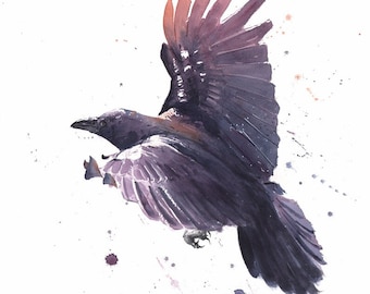 Raven Crow Watercolor Bird Painting Art Print by Eric Sweet