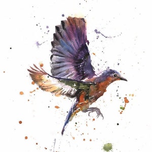 Eastern Bluebird Watercolor Bird Painting Art Print by Eric Sweet