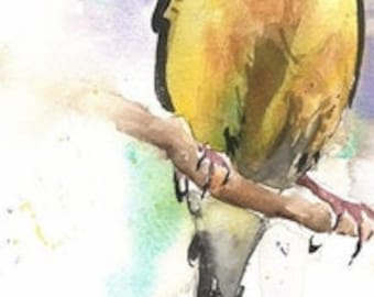 Yellow Goldfinch Bird Watercolor Painting Art Print by Eric Sweet