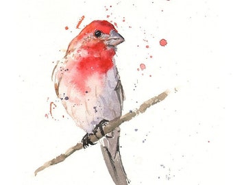 House Finch Bird Watercolor Art Print Painting by Eric Sweet