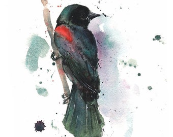 Red-winged Blackbird Bird Watercolor Art Print Painting by Eric Sweet
